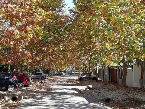 Calle 480 Entre 28 Y 29