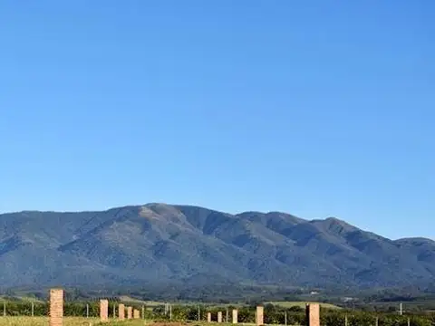 Country El Mirador 100