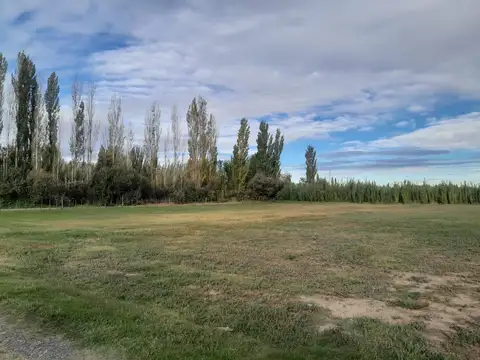 Terreno en Venta de 6200,0 m2