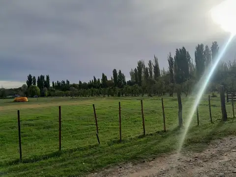 Terreno en Venta de 6200,0 m2