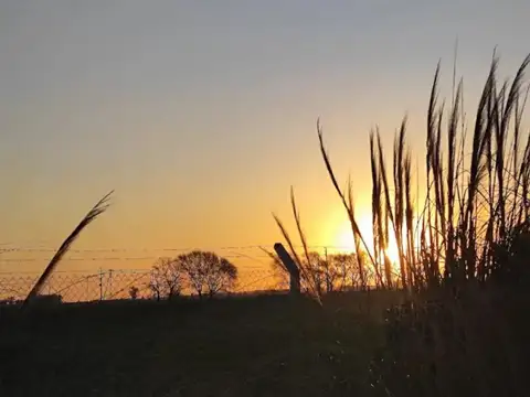 Terreno en Venta de 995,0 m2