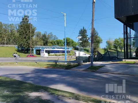 Local en Alquiler A Estrenar