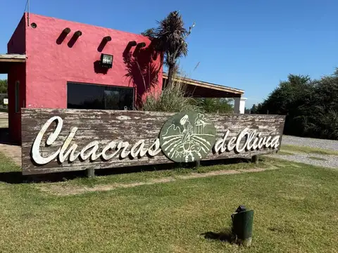 Terreno en Venta, 15000m2, en Chacras de Olivia, Lima, Zarate