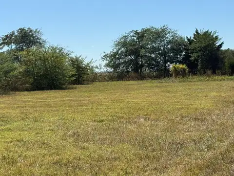 Terreno en Venta, 15000m2, en Chacras de Olivia, Lima, Zarate
