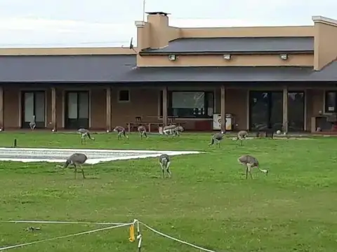 Casa en Venta con 4 cocheras