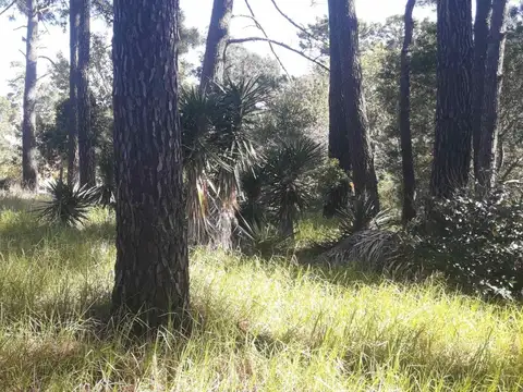 Terreno en Venta de 424,0 m2