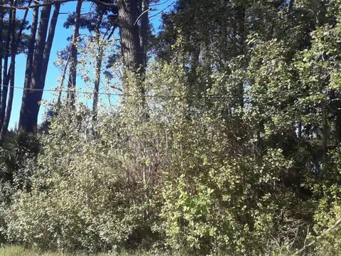 Terreno en Venta en Valeria del Mar, USD 45.000