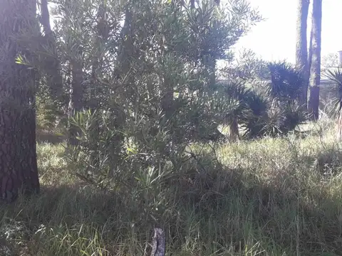 Terreno en Venta en Valeria del Mar, USD 45.000