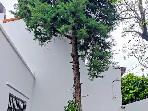 Casa en Alquiler en Villa Martelli, $ 1.800.000
