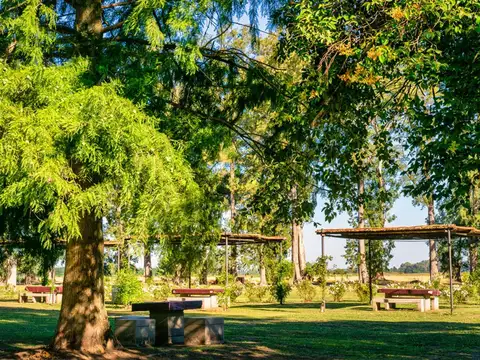 Villa de Campo Los Tres Pinos 100