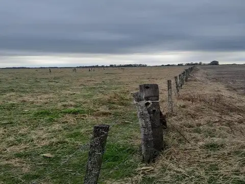 Campo en Venta Ganadero