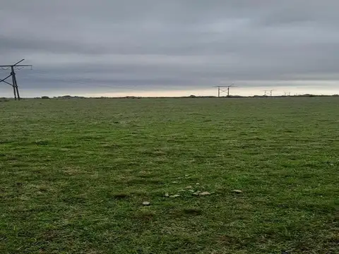 Campo en Venta de 46  ha