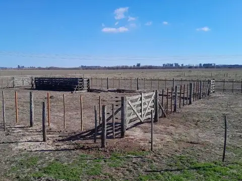 Campo en Venta de 46  ha
