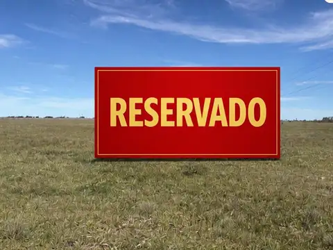 Campo 46 hect. Ganadero pasturas Villa Gr.Savio Est.Sanchez