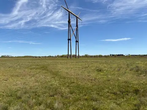 Campo en Venta de 46  ha