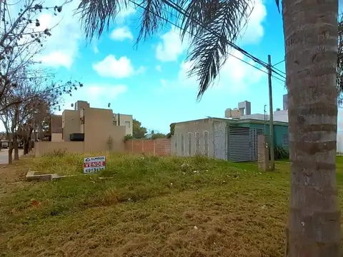 Celedonio Escalada 300