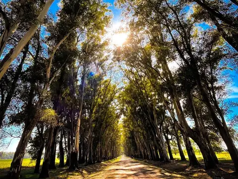 Terreno en Venta en Villa Ruiz, USD 25.000