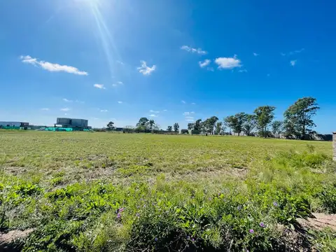 Terreno en Venta de 600,0 m2