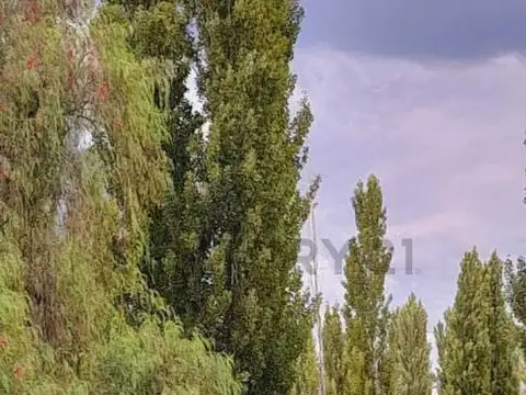 Casa en Venta en San Rafael, USD 59.000