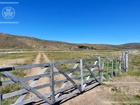 Campo en venta de 4394 has Las Bayas, Rio Negro