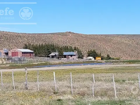 Campo en venta de 4394 has Las Bayas, Rio Negro