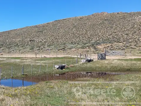 Campo en venta de 4394 has Las Bayas, Rio Negro