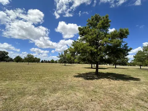 Km.185 Autovia 6 Mirabosques Cardales