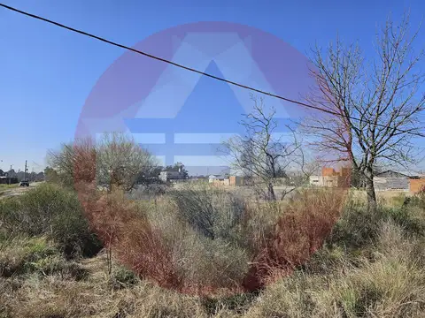 Terreno en Venta 40  mts Frente