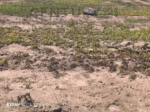 Terreno en Venta de 500,0 m2
