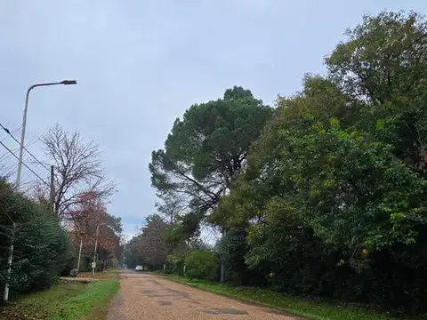 Terreno en Venta de 800,0 m2