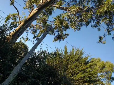 Terreno en Venta de 22989,0 m2