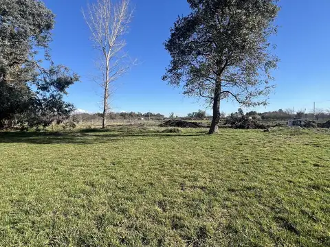 Dorrego s/n - Camino Panelo