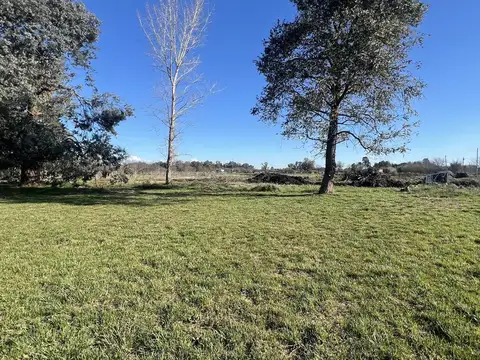Terrenos de 274m2 a la venta en Cañuelas