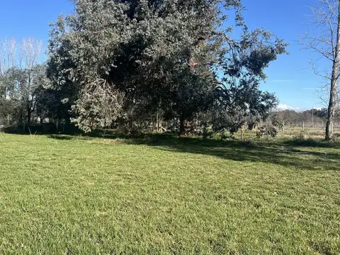 Dorrego s/n - Camino Panelo