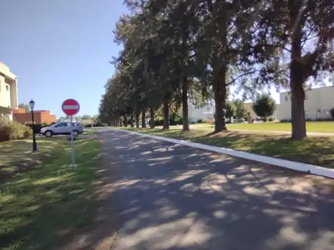 Venta Lote  en  Altos de Campo Grande 100