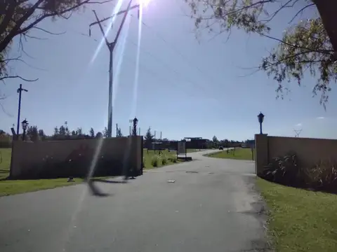 Venta Lote  en  Altos de Campo Grande 100