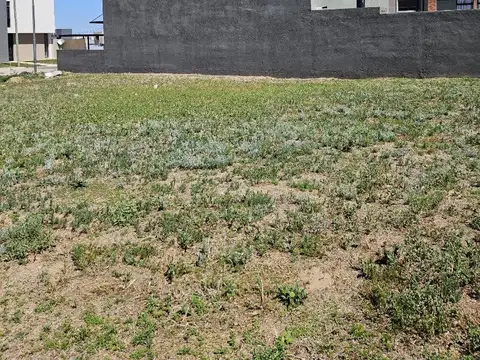 VENTA LOTE APTO DUPLEX 252m2 CENTRAL RINCONES MANANTIALES