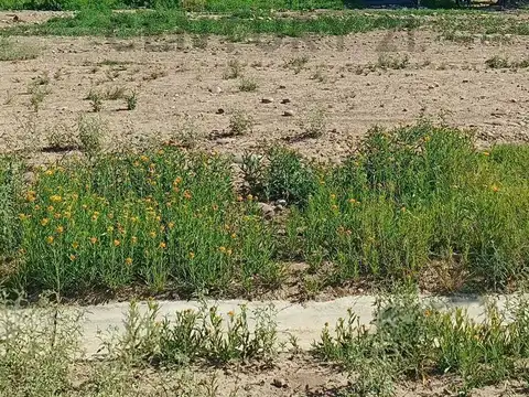 Terreno en Venta en Maipú, USD 13.500