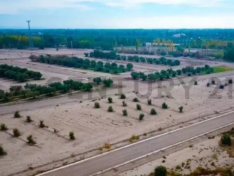 Terreno en Venta de 325,0 m2