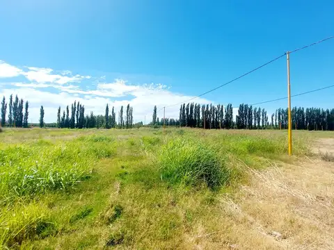 Terreno en Venta en Cervantes, USD 5.000