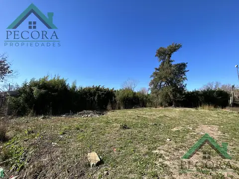 Rafael Urbino 750 - Belen de Escobar