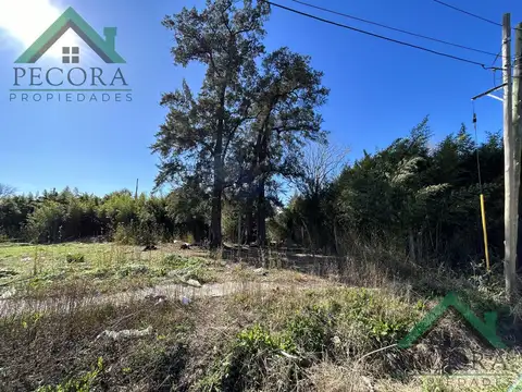 Terreno - Rafael Urbino 750 - Barrio Phillips - Belen de Escobar