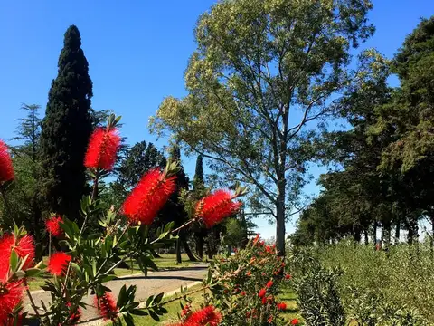 VENTA TERRENOS EN BARRIO CERRADO SAN NICOLAS