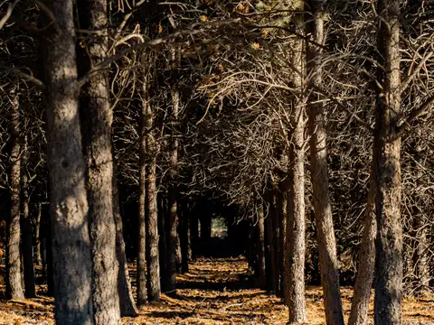 Terreno en Venta 187  mts Fondo