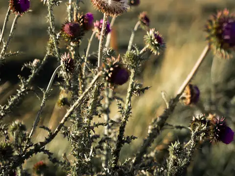 Terreno en Venta en San Martin de los Andes, USD 256.086