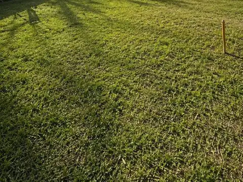 Libertad 600, Piso 0