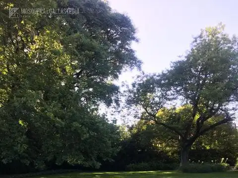 Lote con pileta de 1050 m2 - LOMAS DE SAN ISIDRO - La Horqueta