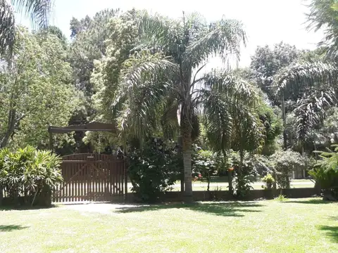 Aguara al 4900