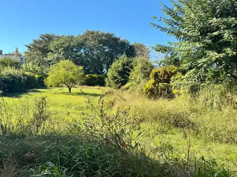 Terreno en Venta de 1278,0 m2