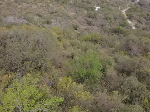 VENTA LOTE EN LA PAISANITA